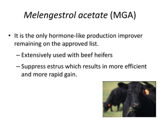 Melengestrol acetate (MGA)
• It is the only hormone-like production improver
remaining on the approved list.
– Extensively used with beef heifers
– Suppress estrus which results in more efficient
and more rapid gain.
 