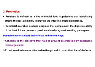 Feed Additives in the Ration of Livestock and Poultry | PDF