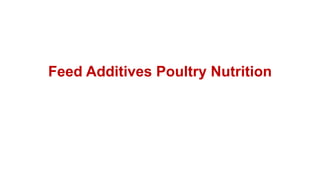 Feed Additives Poultry Nutrition
 