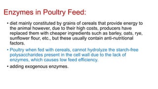 Enzymes in Poultry Feed:
• diet mainly constituted by grains of cereals that provide energy to
the animal however, due to their high costs, producers have
replaced them with cheaper ingredients such as barley, oats, rye,
sunflower flour, etc., but these usually contain anti-nutritional
factors.
• Poultry when fed with cereals, cannot hydrolyze the starch-free
polysaccharides present in the cell wall due to the lack of
enzymes, which causes low feed efficiency.
• adding exogenous enzymes.
 