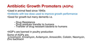 Antibiotic Growth Promoters (AGPs)
•Used in animal feed since 1940s
•Antibiotic with low dose used to improve growth performance
•Good for growth but many demerits i.e.
- Drug Resistance
- Drug residues transfer to humans
- Transfer of drug resistant bacteria to humans
•AGP’s are banned in poultry production
Some of AGPs are,
Lincomycin, Enramycin, Avilamycin, Amoxicillin, Colistin, Neomycin,
Zinc bacitracin
 