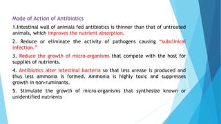 Mode of Action of Antibiotics
1.Intestinal wall of animals fed antibiotics is thinner than that of untreated
animals, which improves the nutrient absorption.
2. Reduce or eliminate the activity of pathogens causing “subclinical
infection.”
3. Reduce the growth of micro-organisms that compete with the host for
supplies of nutrients.
4. Antibiotics alter intestinal bacteria so that less urease is produced and
thus less ammonia is formed. Ammonia is highly toxic and suppresses
growth in non-ruminants.
5. Stimulate the growth of micro-organisms that synthesize known or
unidentified nutrients
 