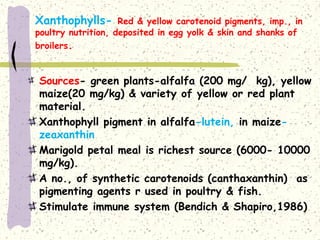 Xanthophyll Example Feed Additives. and its feeding to livstock | PPT