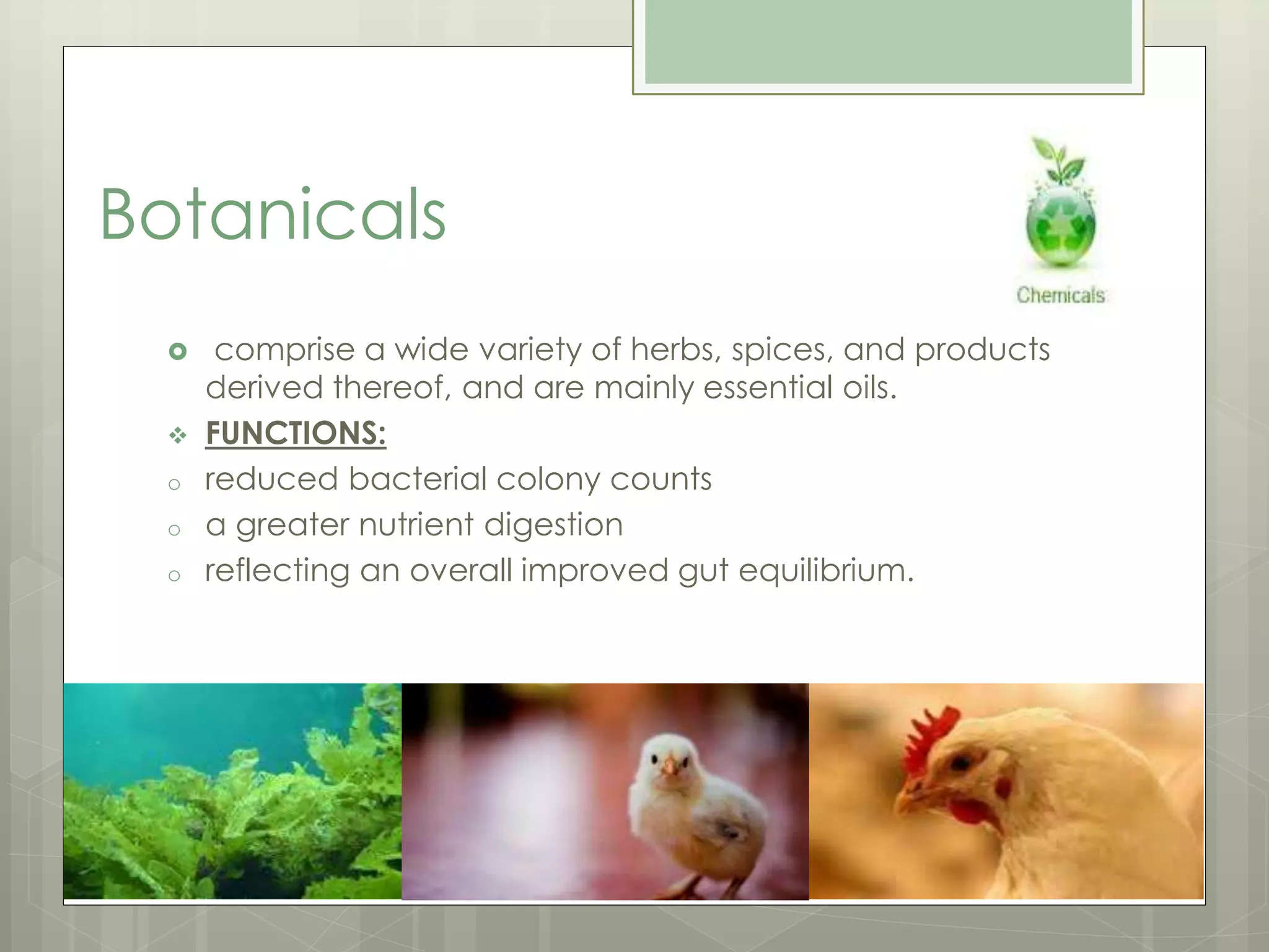 Botanicals
 comprise a wide variety of herbs, spices, and products
derived thereof, and are mainly essential oils.
 FUNCTIONS:
o reduced bacterial colony counts
o a greater nutrient digestion
o reflecting an overall improved gut equilibrium.
 