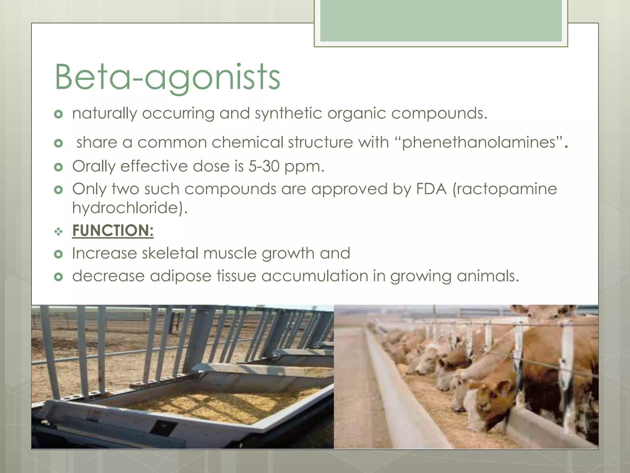 Beta-agonists
 naturally occurring and synthetic organic compounds.
 share a common chemical structure with “phenethanolamines”.
 Orally effective dose is 5-30 ppm.
 Only two such compounds are approved by FDA (ractopamine
hydrochloride).
 FUNCTION:
 Increase skeletal muscle growth and
 decrease adipose tissue accumulation in growing animals.
 