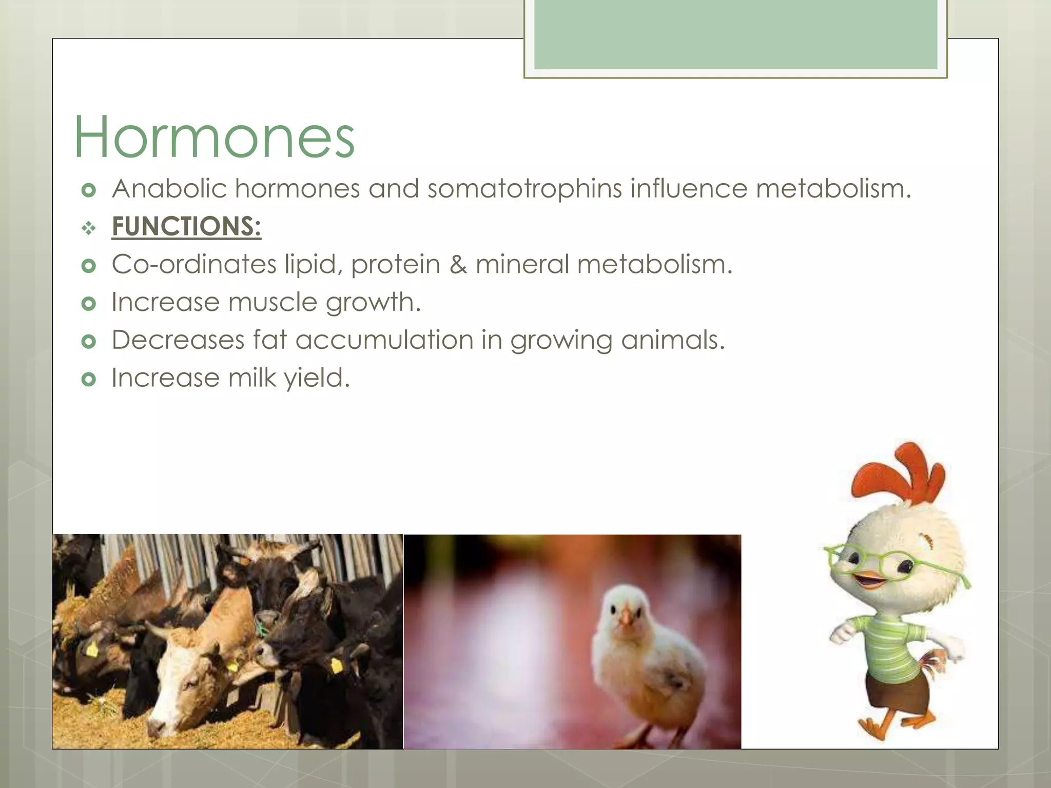Hormones
 Anabolic hormones and somatotrophins influence metabolism.
 FUNCTIONS:
 Co-ordinates lipid, protein & mineral metabolism.
 Increase muscle growth.
 Decreases fat accumulation in growing animals.
 Increase milk yield.
 