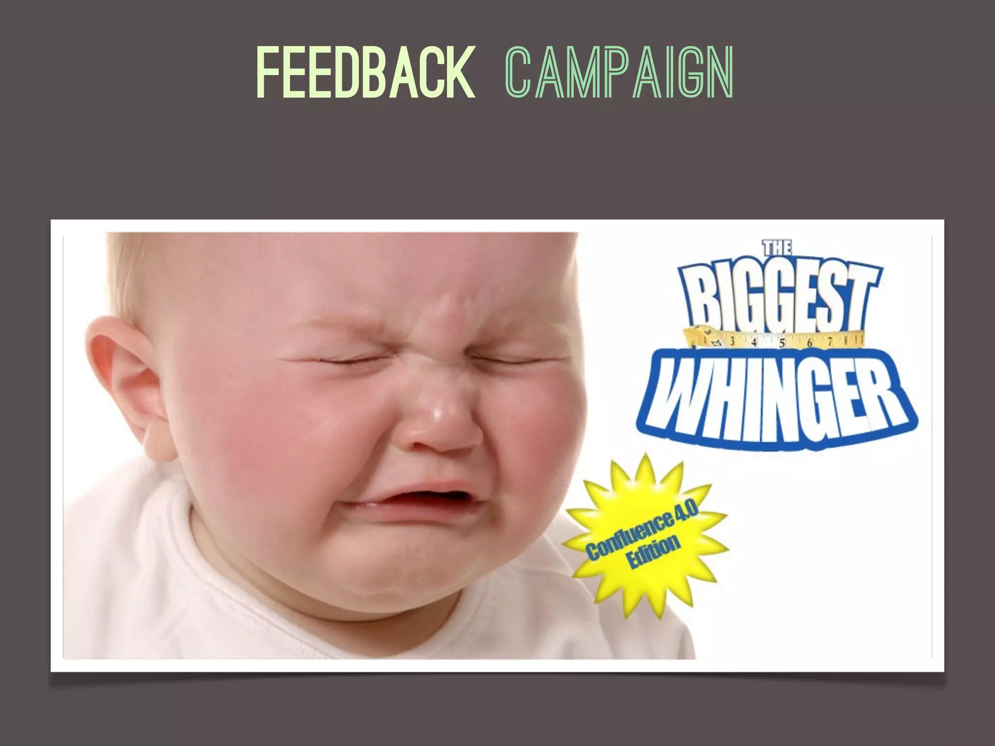 Feedback Campaign
 