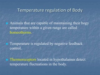 Temperature regulation of Body
 Animals that are capable of maintaining their bogy
temperature within a given range are called
homeotherms.
 Temperature is regulated by negative feedback
control.
 Thermoreceptors located in hypothalamus detect
temperature fluctuations in the body.
 