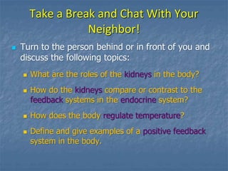 Take a Break and Chat With Your
Neighbor!
 Turn to the person behind or in front of you and
discuss the following topics:
 What are the roles of the kidneys in the body?
 How do the kidneys compare or contrast to the
feedback systems in the endocrine system?
 How does the body regulate temperature?
 Define and give examples of a positive feedback
system in the body.
 