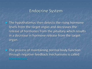 Endocrine System
 The hypothalamus then detects the rising hormone
levels from the target organ and decreases the
release of hormones from the pituitary which results
in a decrease in hormone release from the target
organ.
 The process of maintaining normal body function
through negative feedback mechanisms is called
homeostasis.
 