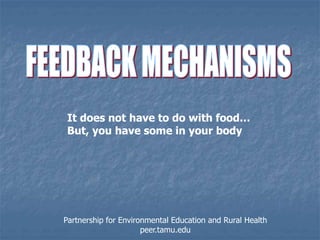 It does not have to do with food…
But, you have some in your body
Partnership for Environmental Education and Rural Health
peer.tamu.edu
 