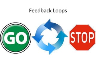 Feedback Loops
 