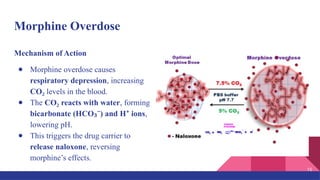 Morphine Overdose
Mechanism of Action
● Morphine overdose causes
respiratory depression, increasing
CO₂ levels in the blood.
● The CO reacts with water
₂ , forming
bicarbonate (HCO ) and H ions
₃⁻ ⁺ ,
lowering pH.
● This triggers the drug carrier to
release naloxone, reversing
morphine’s effects.
15
 