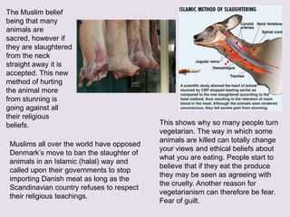 Muslims all over the world have opposed
Denmark’s move to ban the slaughter of
animals in an Islamic (halal) way and
called upon their governments to stop
importing Danish meat as long as the
Scandinavian country refuses to respect
their religious teachings.
The Muslim belief
being that many
animals are
sacred, however if
they are slaughtered
from the neck
straight away it is
accepted. This new
method of hurting
the animal more
from stunning is
going against all
their religious
beliefs. This shows why so many people turn
vegetarian. The way in which some
animals are killed can totally change
your views and ethical beliefs about
what you are eating. People start to
believe that if they eat the produce
they may be seen as agreeing with
the cruelty. Another reason for
vegetarianism can therefore be fear.
Fear of guilt.
 