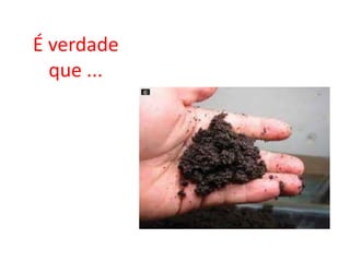 É verdade que ...