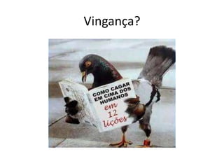 Vingança?