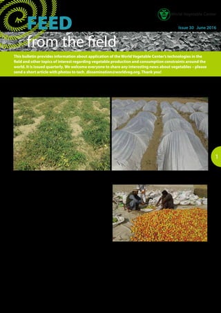 1
FEEDBACK Issue 30 June 2016
This bulletin provides information about application of the World Vegetable Center’s technologies in the
field and other topics of interest regarding vegetable production and consumption constraints around the
world. It is issued quarterly. We welcome everyone to share any interesting news about vegetables – please
send a short article with photos to tech_dissemination@worldveg.org. Thank you!
from the field
Simple techniques for preventing off-season tomatoes from
frost injury in Pakistan
Thoha Mehram Khan is a village in Chakwal district of
Punjab province, Pakistan. Recently, most of the farming
communities in this area cultivate off-season tomato for
higher income from June to December under natural
conditions. Determinate hybrid tomatoes are commonly
grown with an average yield of 10 t/ha. However, frost is one
of the major problems faced by tomato growers in December
when the temperature drops below 0°C.
To avoid frost injury, growers usually harvest all the tomatoes,
including immature and small-sized ones, before mid-
December and pile them on the floor in a storeroom or pack
them in gunny bags for ripening. Around 10-20 days later,
farmers pick out the ripened tomatoes and pack them into
small bags for sale. However, most tomatoes are low quality
because of irregular shape and physical disorders during
storage and this greatly reduces their market value.
To protect tomato plants from frost injury, simple and
cost-effective techniques were developed by the World
Vegetable Center through the“Agricultural Innovation
Program for Pakistan”project which is funded by the United
States Agency for International Development (USAID).
The International Maize and Wheat Improvement Center
For off-season tomato production, farmers usually start to harvest fruit at the end of October (left), and set up mini-plastic tunnels before mid-
December to protect tomato plants from frost damage (right), in Thoha Mehram Khan village, Chakwal district
(CIMMYT) and the Pakistan Agricultural Research Council
(PARC) are the partners for implementing the project.
In December to January, tomato plants are protected by 1 m
high and 1.3 m wide mini-plastic tunnels. This practice not
only prevents frost damage but also prolongs the crop season
up to approximately two months. Plants can produce quality
Under conventional practice, farmers open gunny bags and pick
out ripened tomatoes for sale, however, tomato quality is low due to
irregular shape and physical disorders during storage
 
