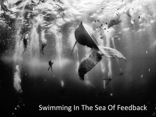 Swimming In The Sea Of Feedback
 