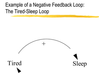 Example of a Negative Feedback Loop: The Tired-Sleep Loop 