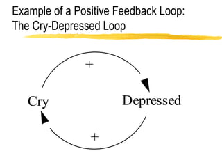 Example of a Positive Feedback Loop: The Cry-Depressed Loop 