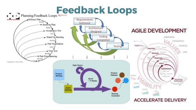Feedback Loops
