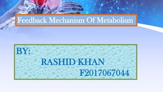 Feedback Mechanism Of Metabolism
BY:
RASHID KHAN
F2017067044
 