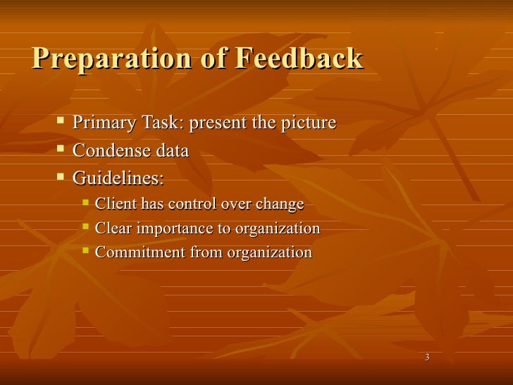 Feedback Meeting Ppt