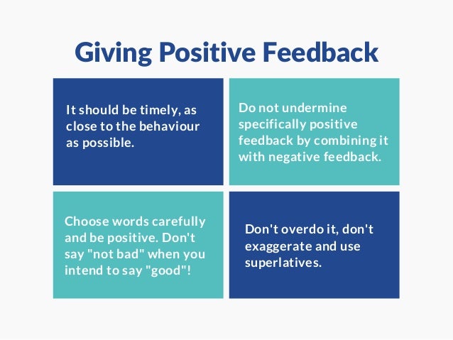 The feedback process