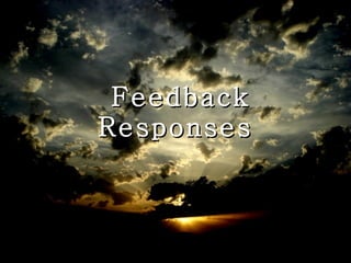 Feedback Responses  