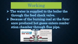 Feed check valve
