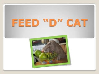 FEED “D” CAT
 
