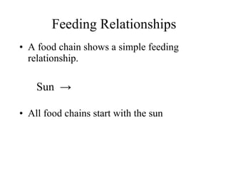 Feeding Relationships ,[object Object],[object Object],[object Object]