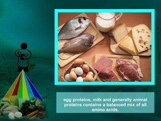 egg proteins, milk and generally animal proteins contains a balanced mix of all amino acids. 
