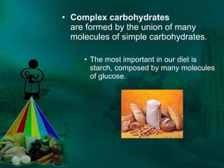 Complex carbohydrates are formed by the union of many molecules of simple carbohydrates. The most important in our diet is starch, composed by many molecules of glucose. 