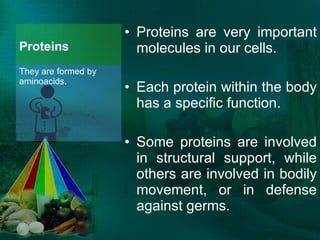 Proteins Proteins are very important molecules in our cells.  Each protein within the body has a specific function.  Some proteins are involved in structural support, while others are involved in bodily movement, or in defense against germs.  They are formed by aminoacids.  