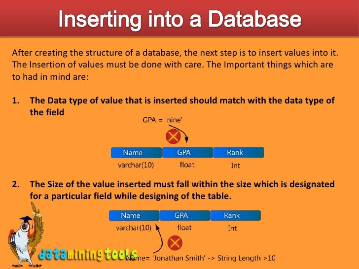 MS Sql Server Feeding Data Into Database
