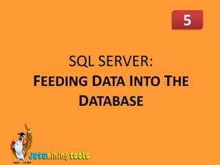 5 SQL SERVER: FEEDINGDATA INTO THE DATABASE 