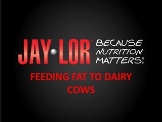 FEEDING FAT TO DAIRY
COWS
 