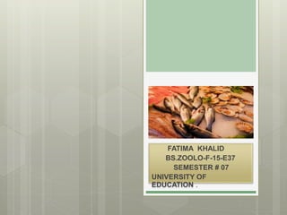 FATIMA KHALID
BS.ZOOLO-F-15-E37
SEMESTER # 07
UNIVERSITY OF
EDUCATION .
 