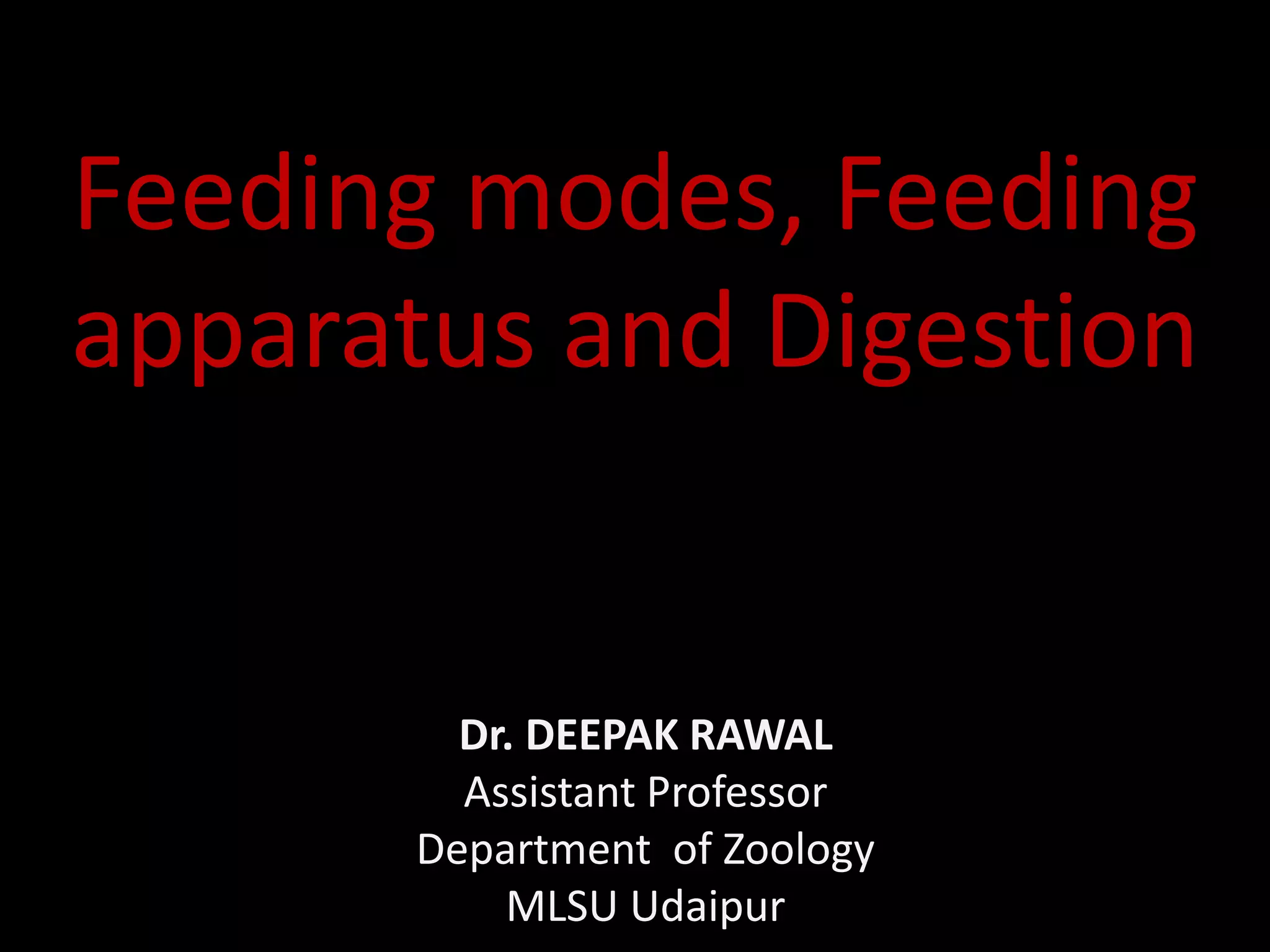 Feeding, digestion and feeding apparatus PPT