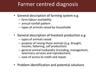 Feeding innovation – Update on the feed innovation toolkit and where we are with FEAST and Techfit