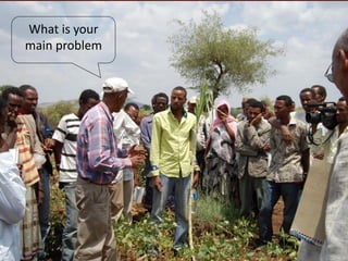 Feeding innovation – Update on the feed innovation toolkit and where we are with FEAST and Techfit