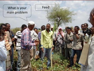 Feeding innovation – Update on the feed innovation toolkit and where we are with FEAST and Techfit