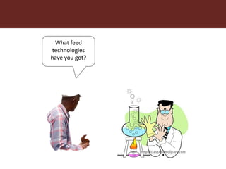 Feeding innovation – Update on the feed innovation toolkit and where we are with FEAST and Techfit