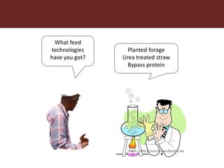 Feeding innovation – Update on the feed innovation toolkit and where we are with FEAST and Techfit