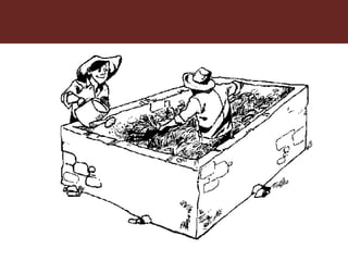 Feeding innovation – Update on the feed innovation toolkit and where we are with FEAST and Techfit