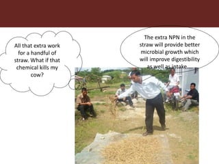 Feeding innovation – Update on the feed innovation toolkit and where we are with FEAST and Techfit