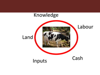 Feeding innovation – Update on the feed innovation toolkit and where we are with FEAST and Techfit