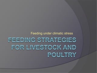 Feeding under climatic stress 
 