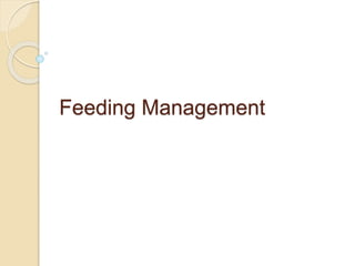 Feeding Management
 